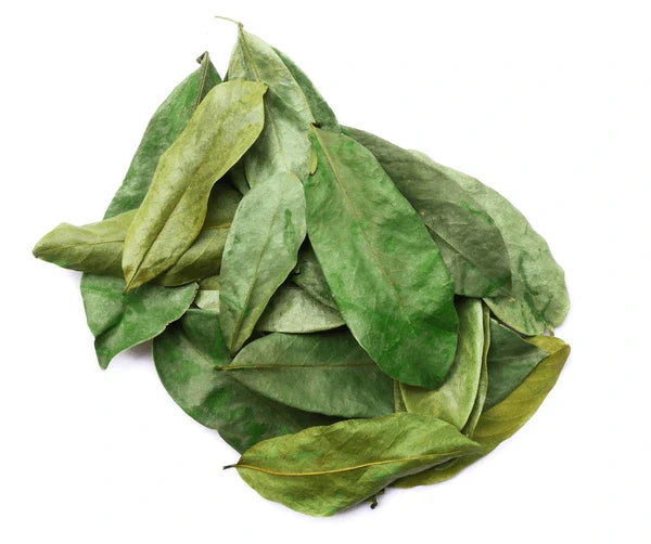 All Soursop Products