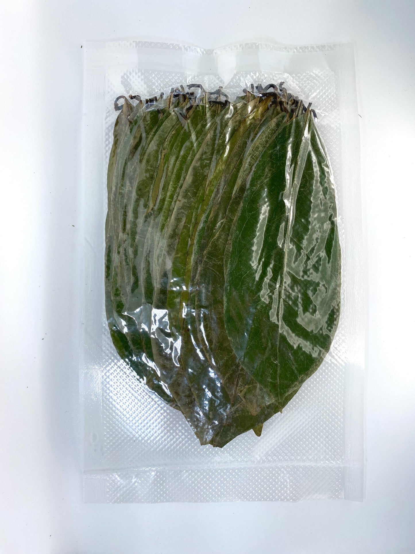 Soursop Leaves - Reduce cancer risk! - Immune Support